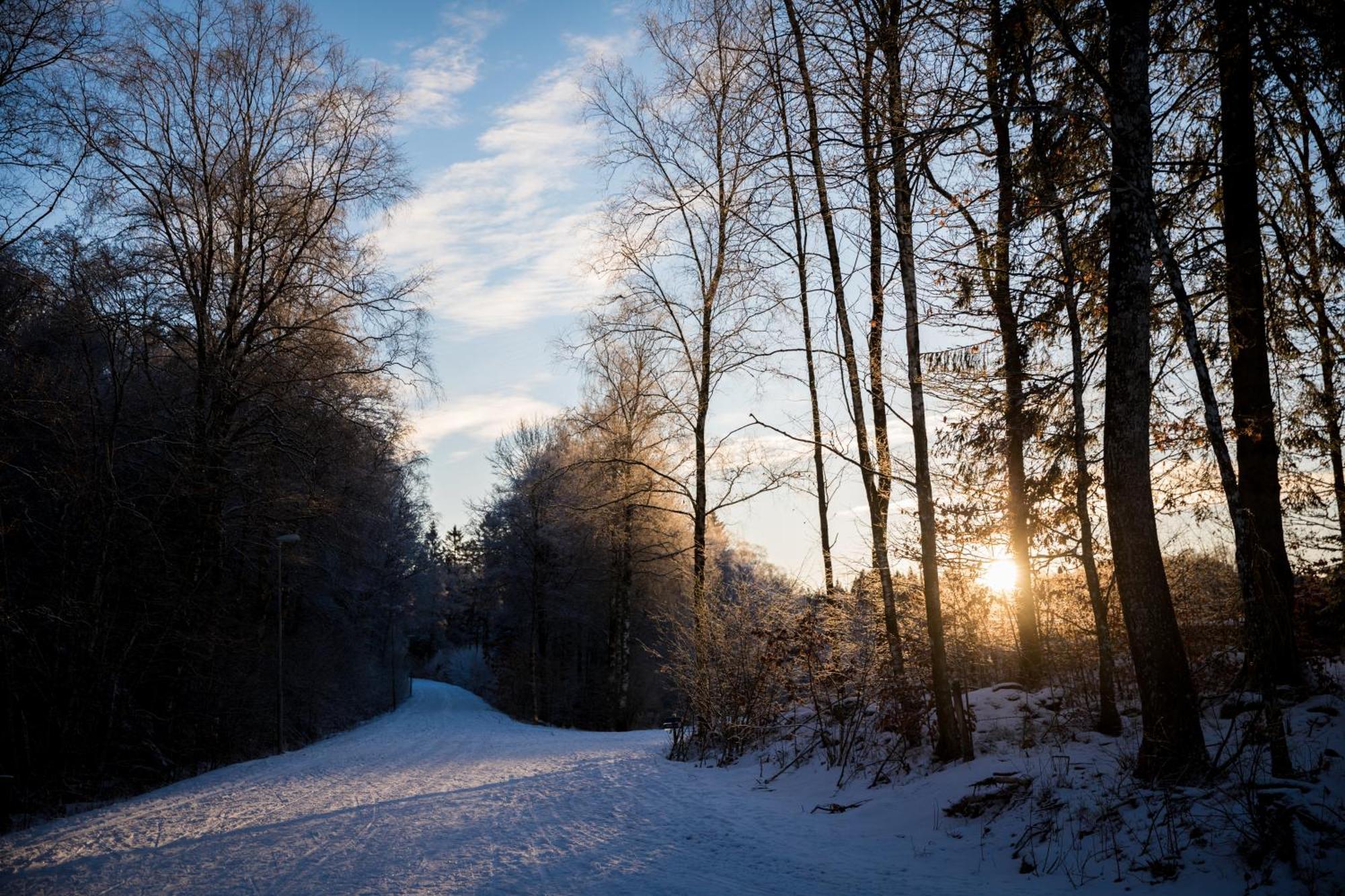 Akulla Outdoor Resort Rolfstorp Buitenkant foto